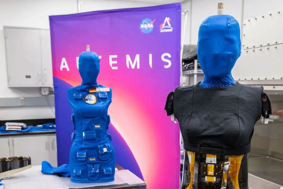 The mannequin torsos of Helga (left) and Zohar were returned to Earth by the Artemis I mission so researchers could see how much radiation they were exposed to. Zohar was wearing a protective vest. Credit: Courtesy of NASA.