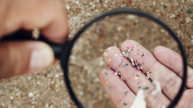 microplastic magnifying glass