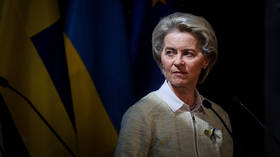 Von der Leyen enfrenta un creciente descontento en las capitales de la UE – medios