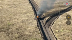 Más blindados ucranianos destruidos en la región de Kursk – MOD (VIDEO)