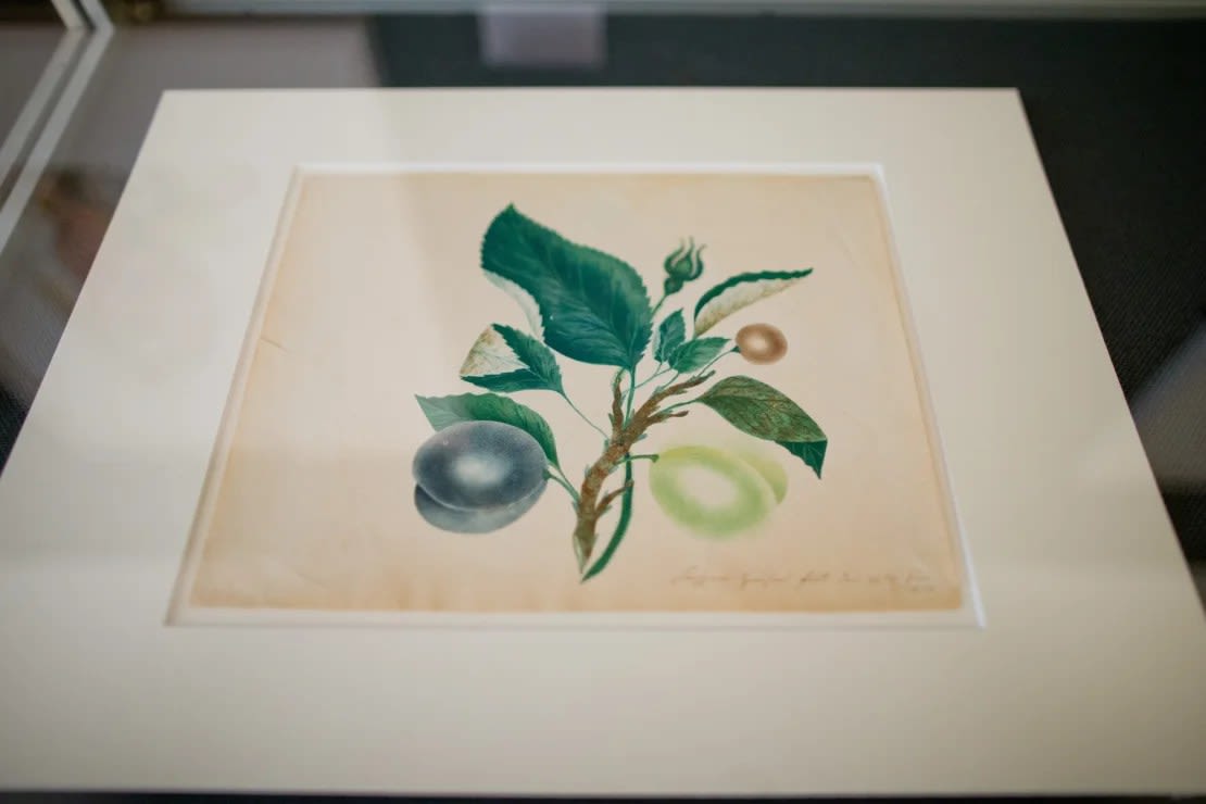 A study of plums, rosebuds and cherries by Hauser (1833) appeared in the temporary exhibition 