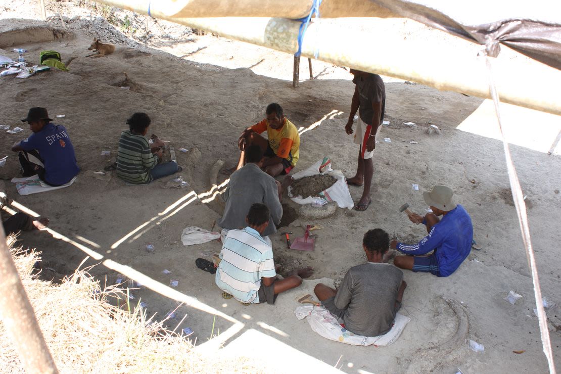 The humerus fragment was excavated at the Mata Menge site, pictured, in 2013. A Stegodon tusk is seen in the lower right corner. Credit: Gerrit van den Bergh